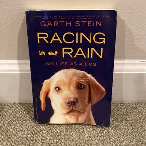 Racing in the Rain  kids version.